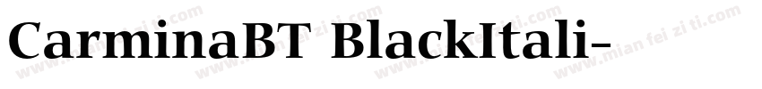 CarminaBT BlackItali字体转换